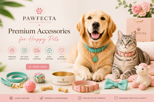 “Top 5 Stylish Pet Accessories Every Pet Owner Needs”